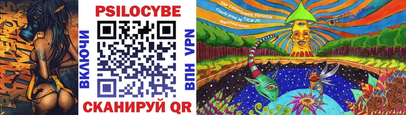 сколько стоит Гусь-Хрустальный Псилоцибиновые грибы Psilocybine cubensis
