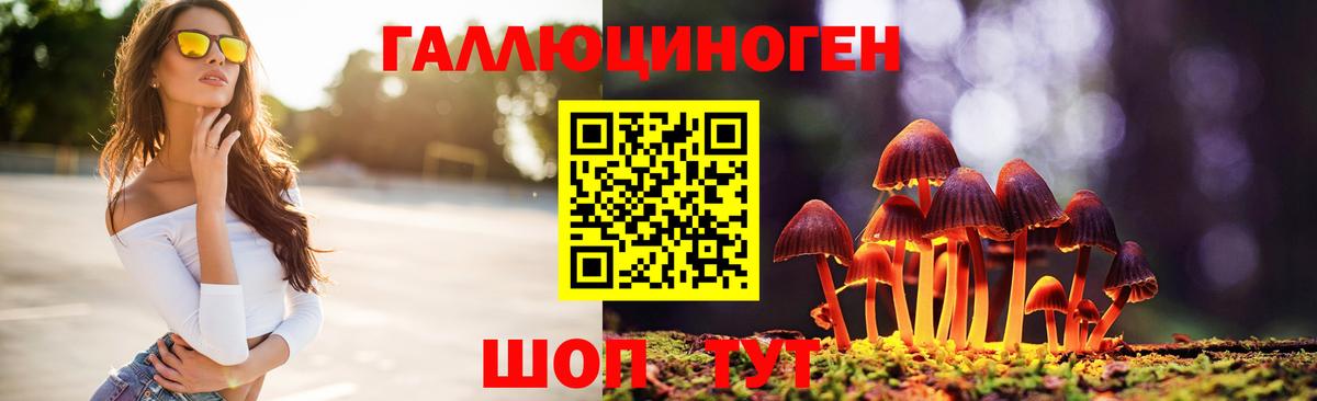 Псилоцибиновые грибы Psilocybe Гусь-Хрустальный