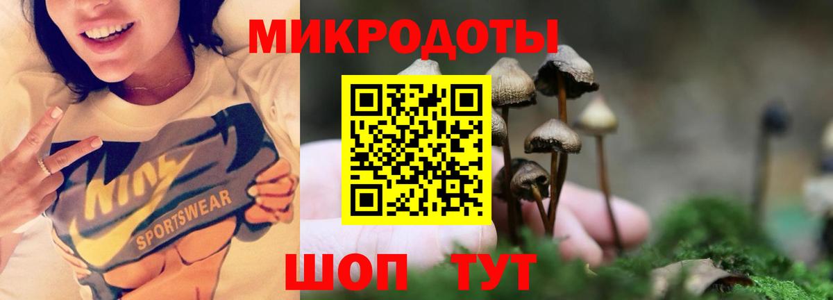 Псилоцибиновые грибы прущие грибы  цена наркотик  Гусь-Хрустальный 